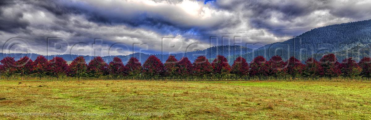 Peter Bellingham Photography Shades of Red - VIC (PBH4 00 13289)